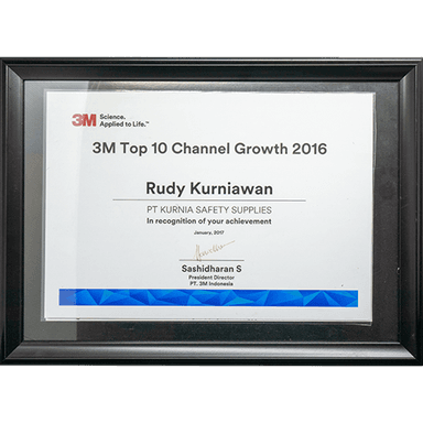 3M Top 10 Channel Growth 2016