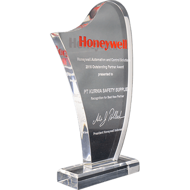 Honeywell Outstanding Partner Award 2016