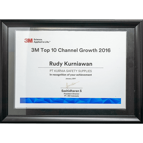 3M Top 10 Channel Growth 2016