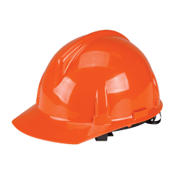 MSA Topgard Hards Hat