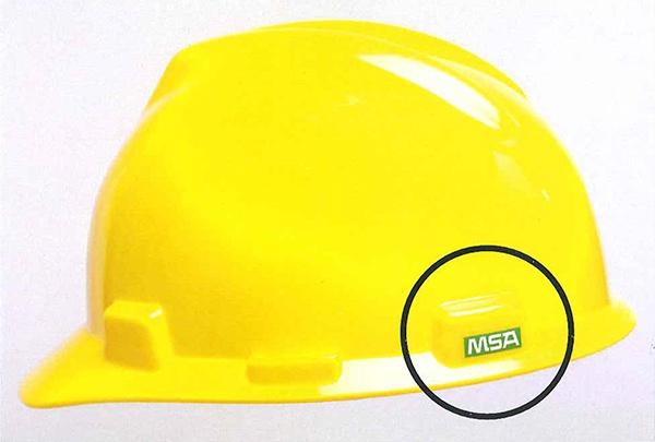 MSA Logo Ori