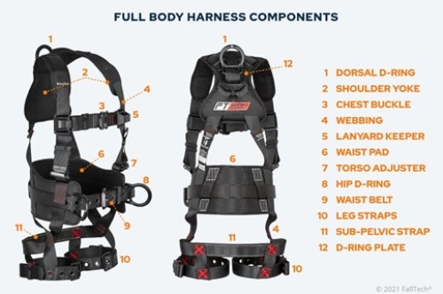 Full Body Harness  